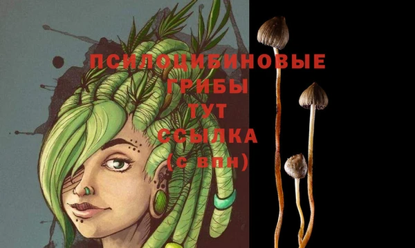а пвп мука Наволоки